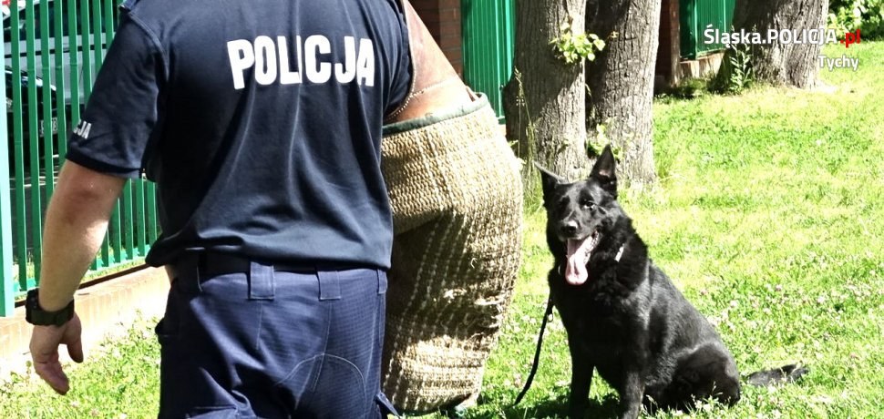 Zajęcia z  policyjnym psem