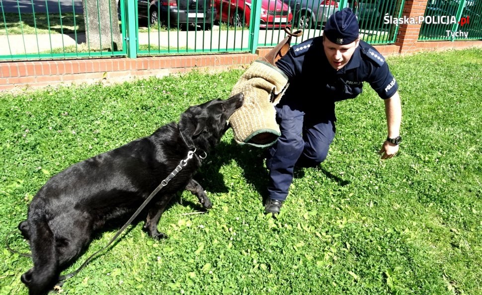 Zajęcia z policyjnym psem
