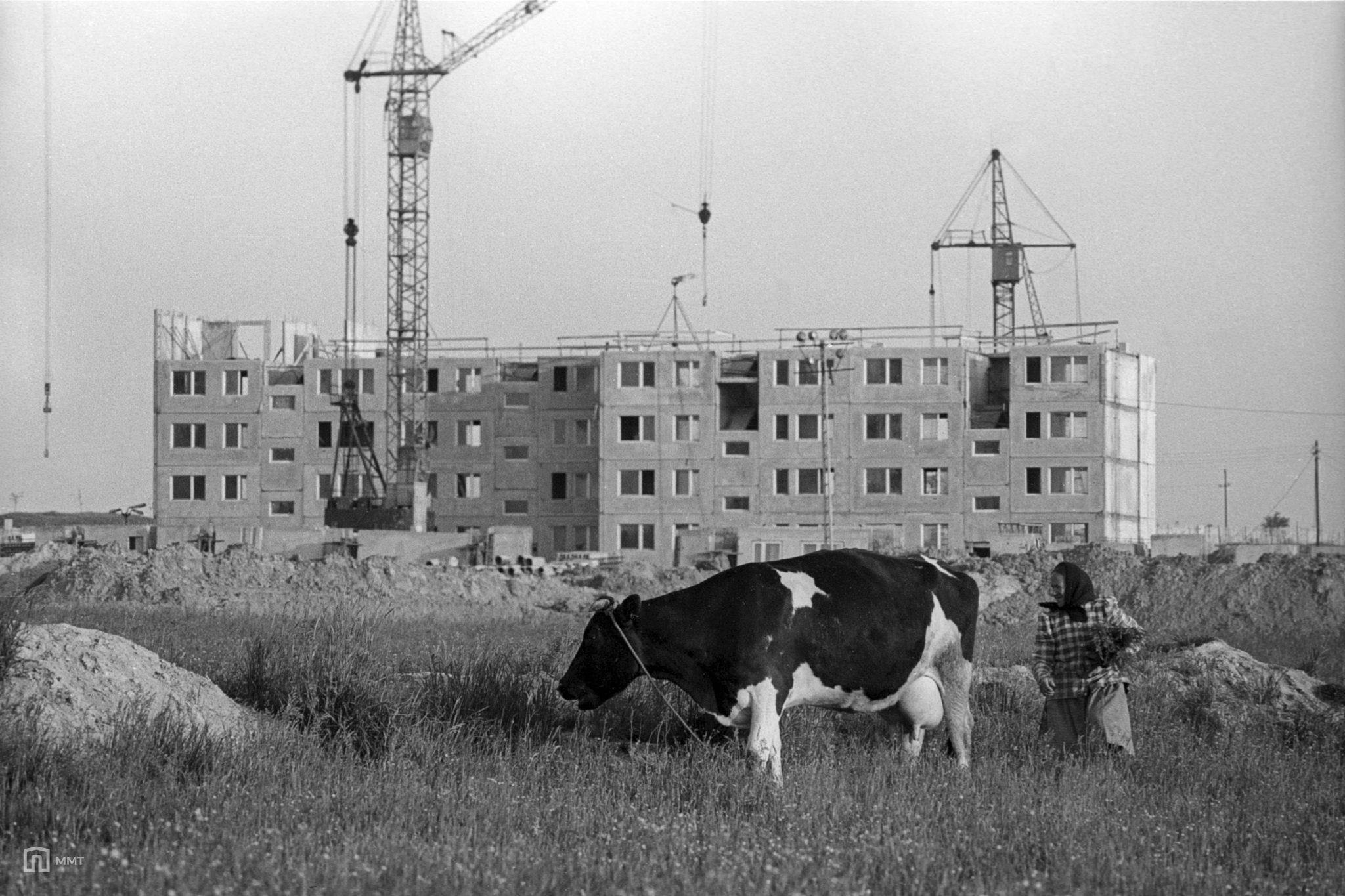 Budynek mieszkalny na osiedlu K - 1977 r. Tychy