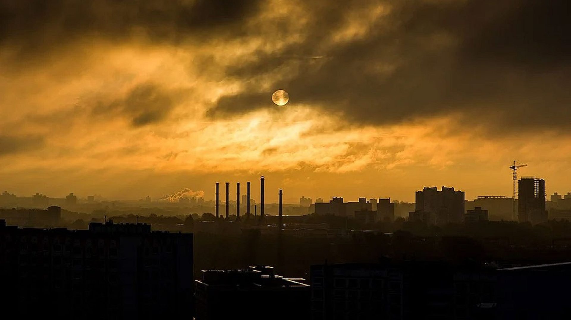 Smog Smog