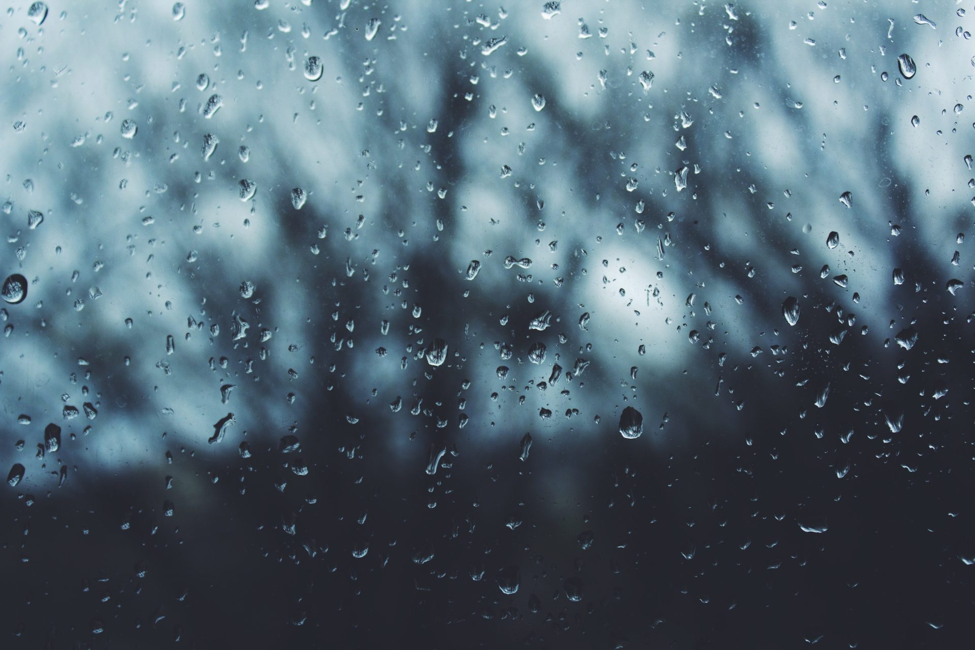 Noah silliman i2 J9jnva Ab U unsplash Noah silliman i2 J9jnva Ab U unsplash