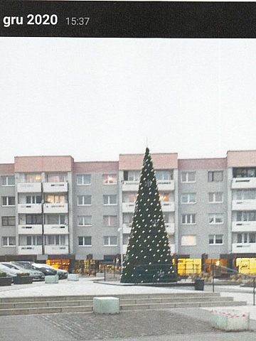 Choinka w 2020 roku Choinka w 2020 roku