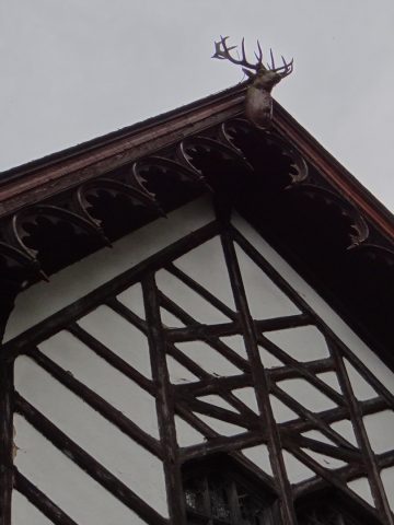 Obchody na terenie Zameczku Myśliwskiego w Promnicach Obchody na terenie Zameczku Myśliwskiego w Promnicach