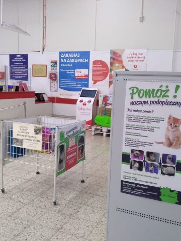 Miejsce zbiórki w Auchan Tychy Miejsce zbiórki w Auchan Tychy