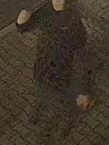 Poszukiwani Tychy Poszukiwani Tychy