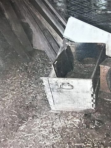 Zaniedbany pies Łaziska Górne Zaniedbany pies Łaziska Górne