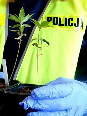 62 6534001 62 6534001