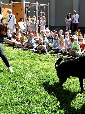 Zajęcia policyjnym psem Zajęcia policyjnym psem
