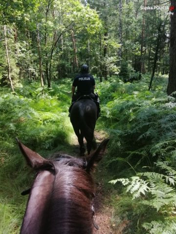 Konny patrol Konny patrol