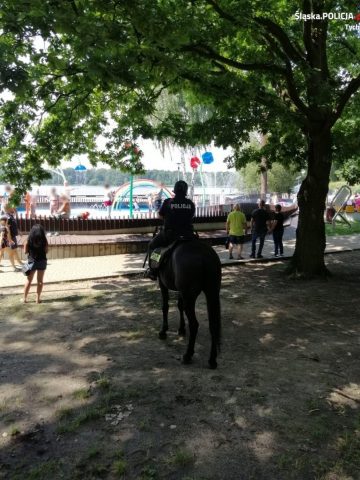 Konny patrol Konny patrol