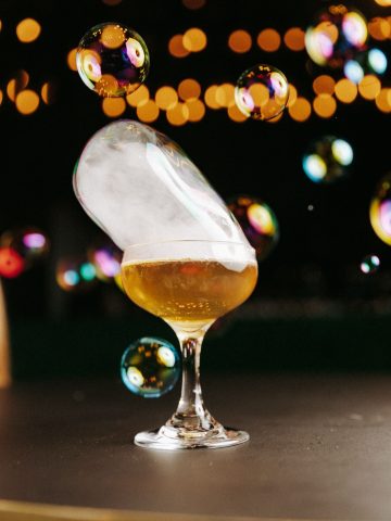 Food Ball 12 Food Ball 12