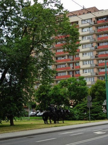 Policja Policja