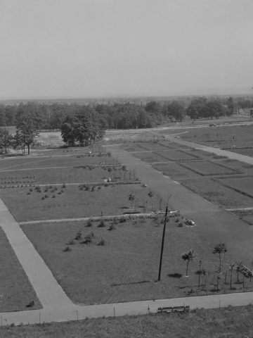 Park Miejski Tychy ok. 1970 roku Park Miejski Tychy ok. 1970 roku