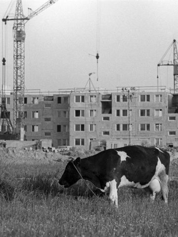 Tychy osiedle K 1977 rok Tychy osiedle K 1977 rok