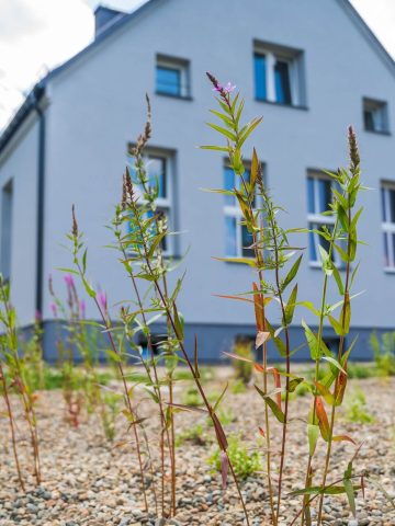 Budynek przy Szkolnej 70, Tychy-Wilkowyje Budynek przy Szkolnej 70, Tychy-Wilkowyje