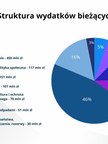 Budżet Tychów na 2024 - infografika Budżet Tychów na 2024 - infografika