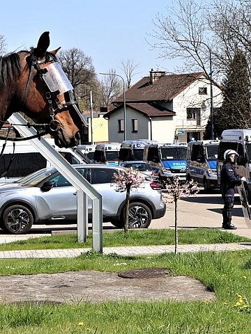 policja tychy 23.04.2023 policja tychy 23.04.2023