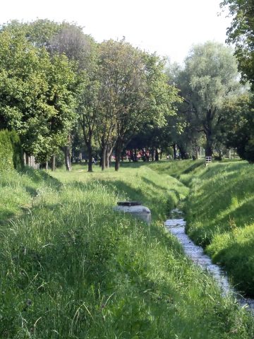 Potok tyski Potok tyski