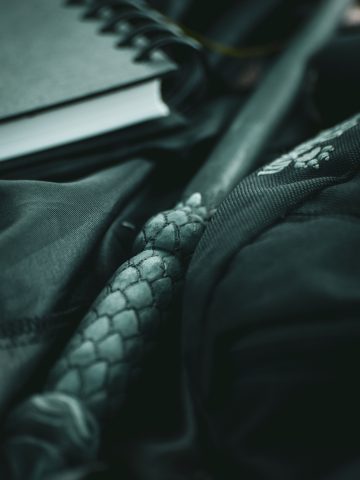 Quatromondis Quatromondis