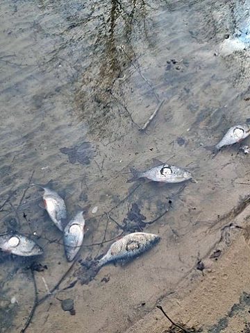 Zbiornik zatrucie 2 Zbiornik zatrucie 2