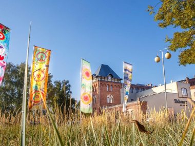 Wystawa rzeźb Tychy Wystawa rzeźb Tychy