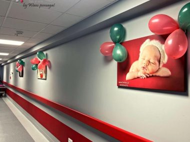Wojewódzki Szpital Specjalistyczny Megrez Sp z o o Wojewódzki Szpital Specjalistyczny Megrez Sp z o o
