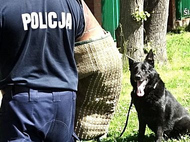 Zajęcia z policyjnym psem Zajęcia z policyjnym psem
