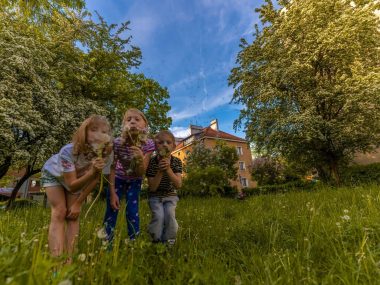 Dzień Dziecka Tychy Dzień Dziecka Tychy