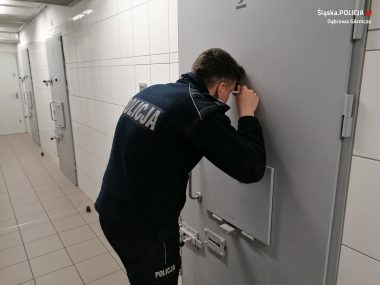 Sprzedawali podrobione Pokemony. Wkrótce staną przed sądem Dąbrowscy policjanci zatrzymali trzech mężczyzn