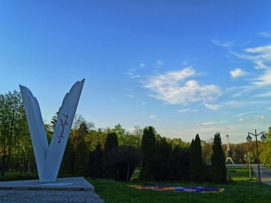 Miejsce w którym zostaną posadzone begonie Miejsce w którym zostaną posadzone begonie