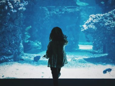 Caroline hernandez yl1w E Vq EY8k unsplash Caroline hernandez yl1w E Vq EY8k unsplash
