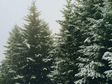 Jeremy gallman wsfw 16qrf0 unsplash Jeremy gallman wsfw 16qrf0 unsplash