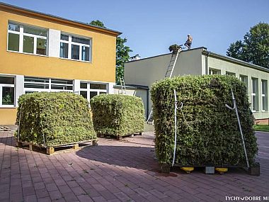 Pierwszy taki dach na tyskiej instytucji Pierwszy taki dach na tyskiej instytucji