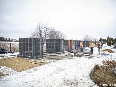 Wartogłowiec kolumbarium Wartogłowiec kolumbarium