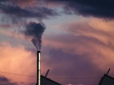 Smog Smog