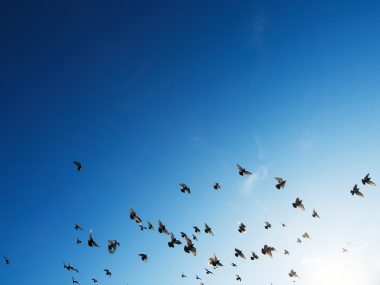 Rowan heuvel e S Pe2 Emr E unsplash Rowan heuvel e S Pe2 Emr E unsplash