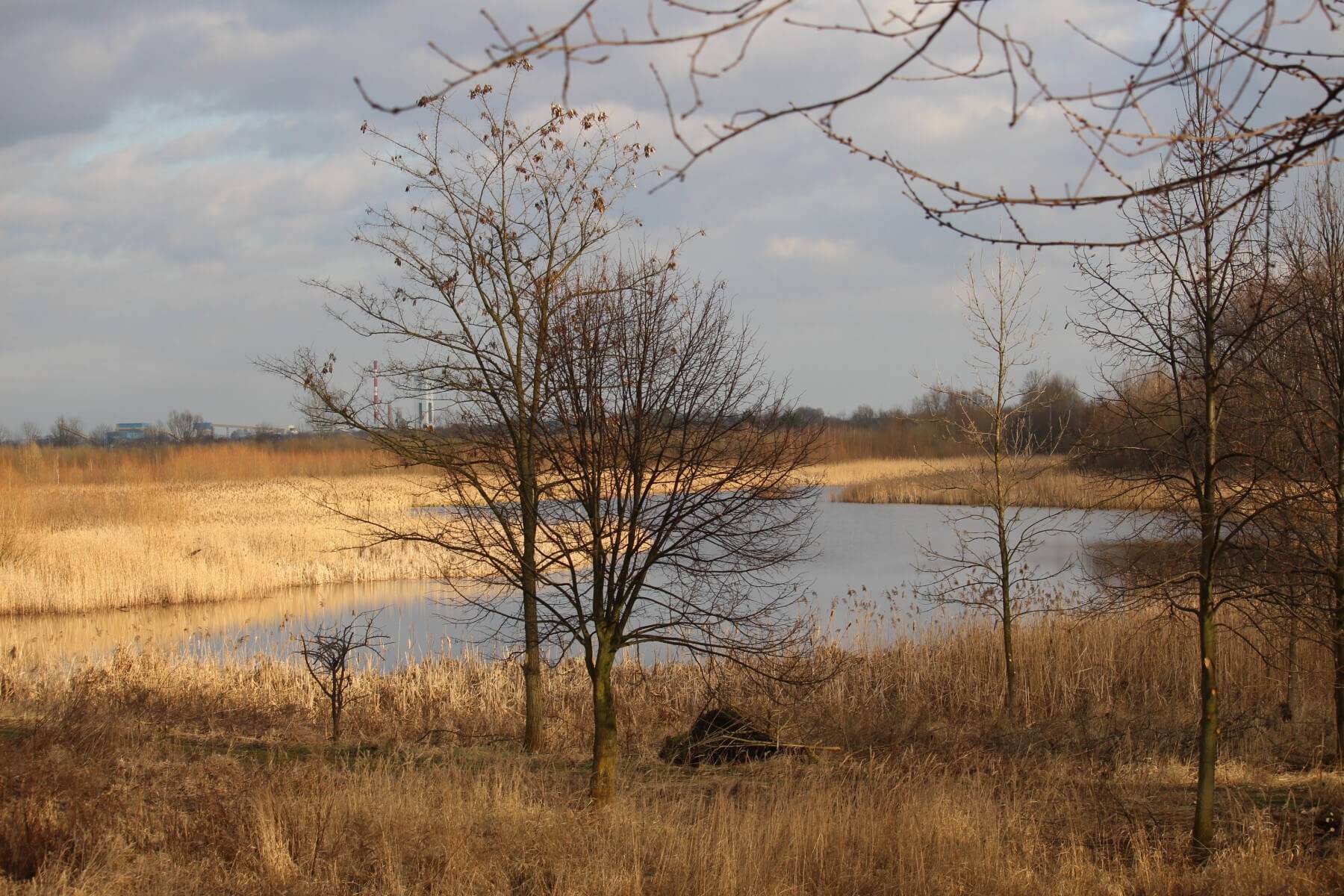 Bieruń grobla 10