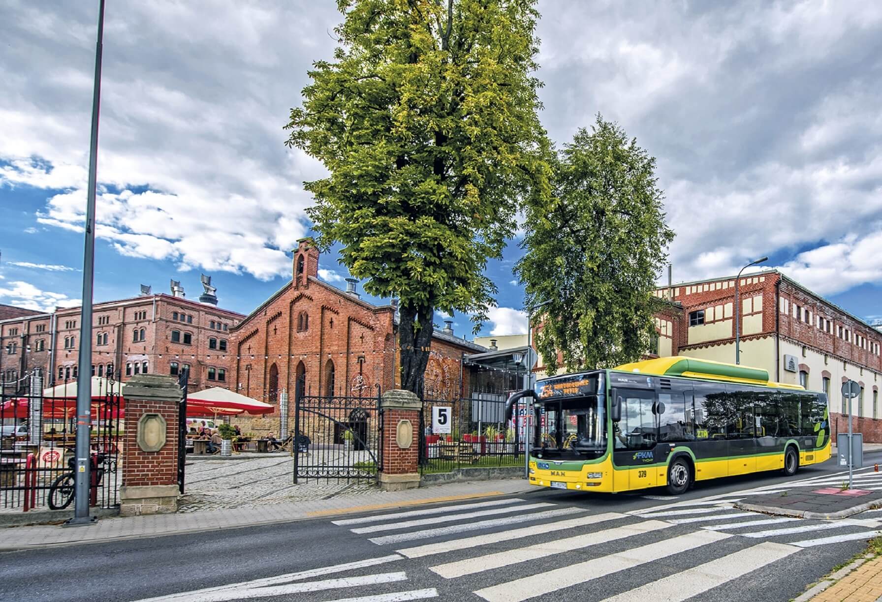 Autobus linii 245 w Mikołowie