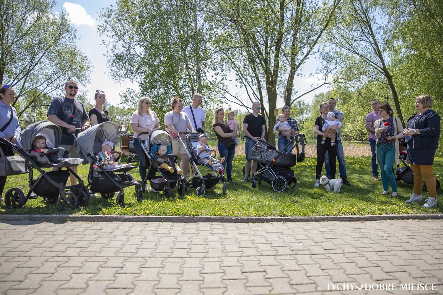 Nasadzenia drzew tychy maj 2022 2