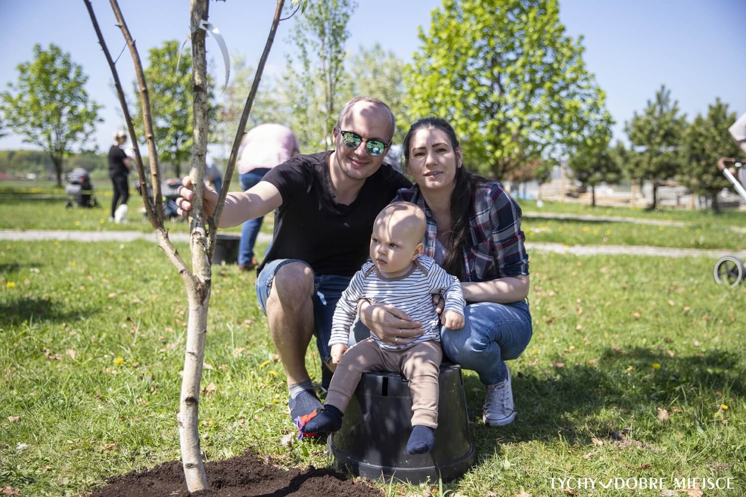 Nasadzenia drzew tychy maj 2022 4