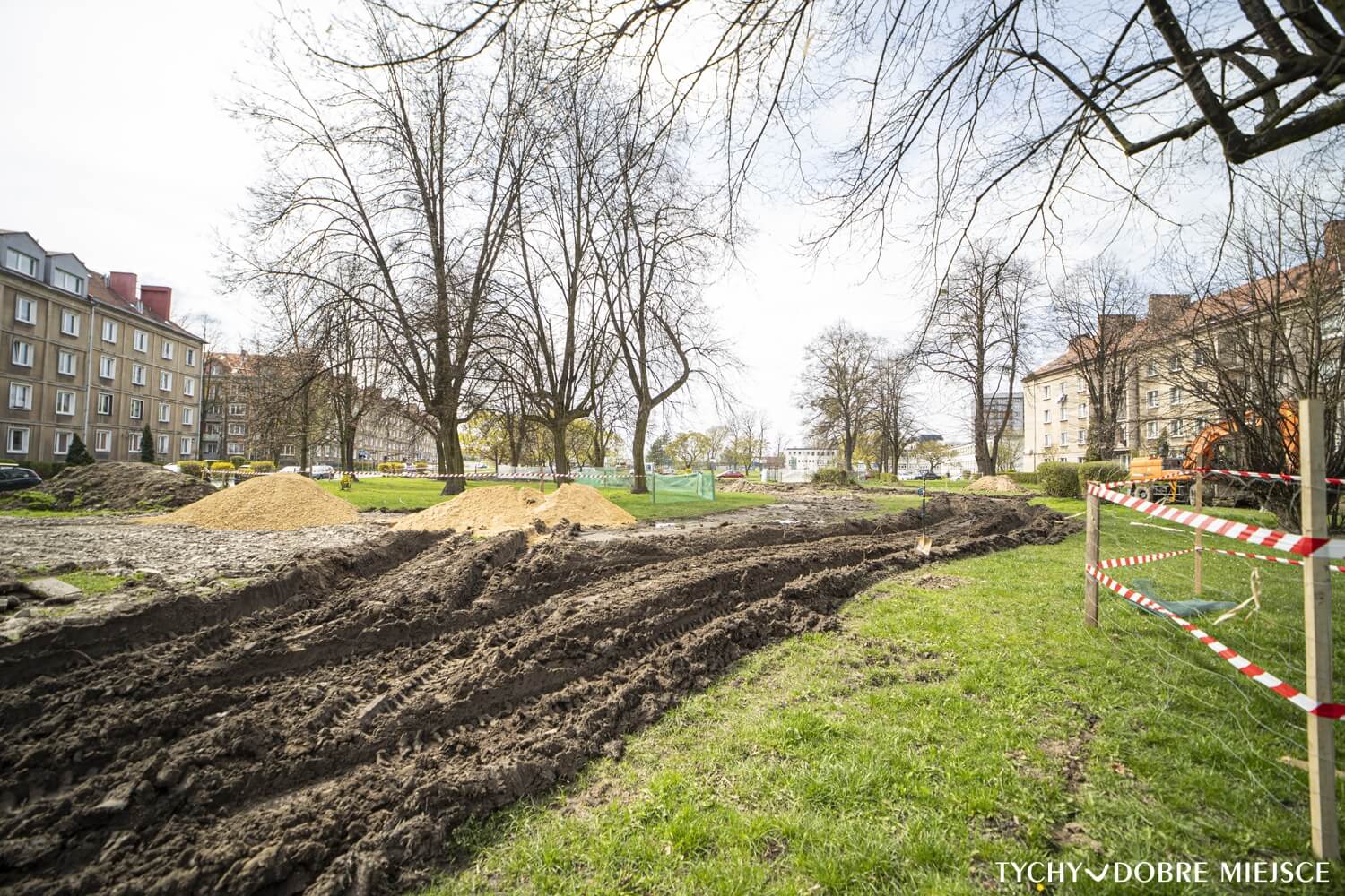 Skwer bałuckiego cienista 4