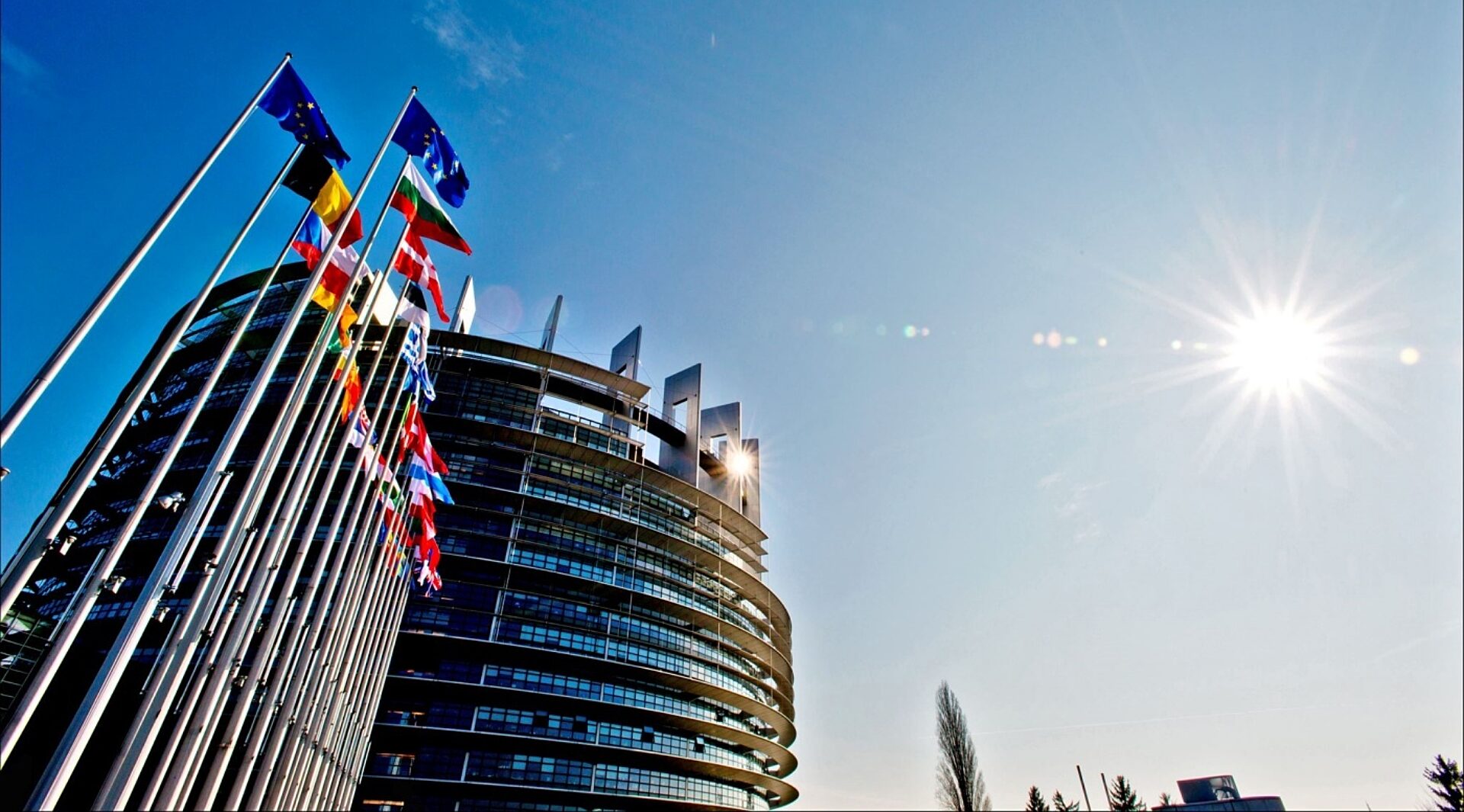 Parlament Europejski Parlament Europejski