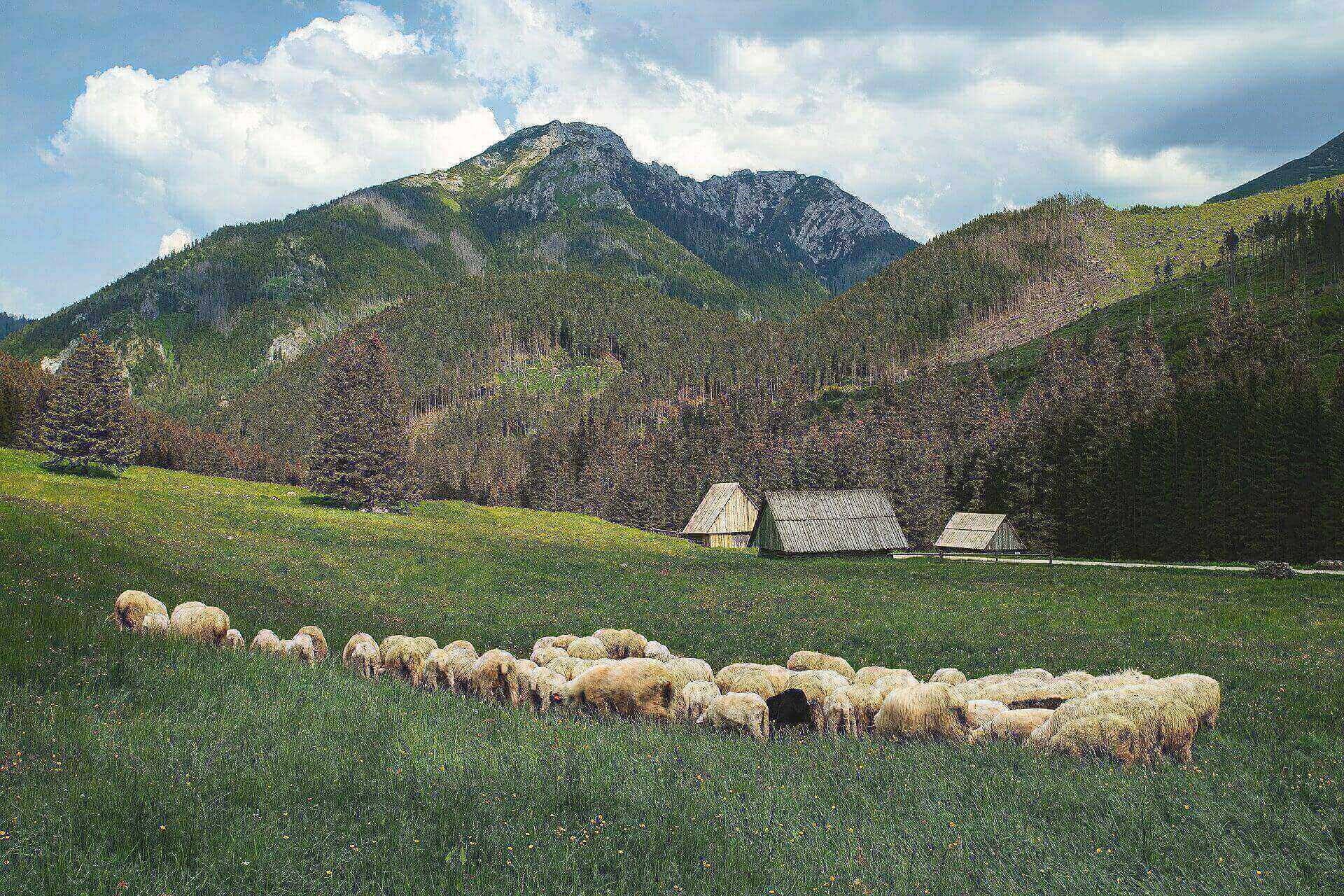Kultura Beskidzka Kultura Beskidzka