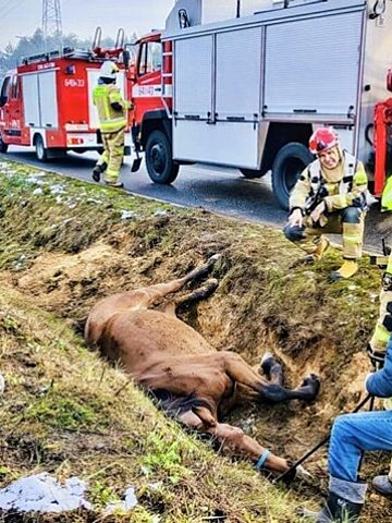 5894 17325511152 5894 17325511152