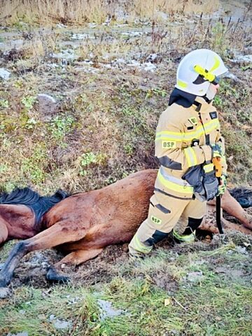 5894 17325511232 5894 17325511232