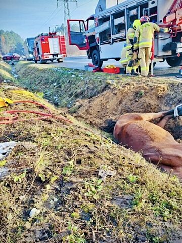 5894 17325511312 5894 17325511312