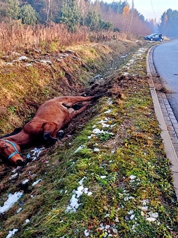 5894 17325510922 5894 17325510922