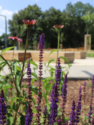 Nowy plac zabaw i skwer przy Dąbrowskiego w Tychach Nowy plac zabaw i skwer przy Dąbrowskiego w Tychach