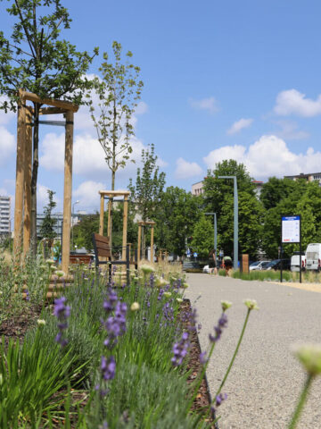 Nowy plac zabaw i skwer Przy Dabrowskiego w Tychach Nowy plac zabaw i skwer Przy Dabrowskiego w Tychach