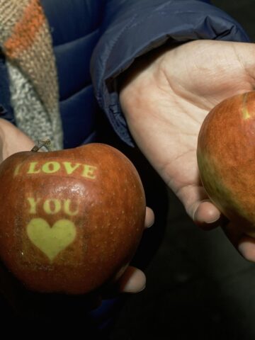 Zin fotograficzny TTF 2024 Zin fotograficzny TTF 2024